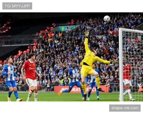 布鲁诺传球数据凸显核心战术价值 场上表现助力球队攻防转换