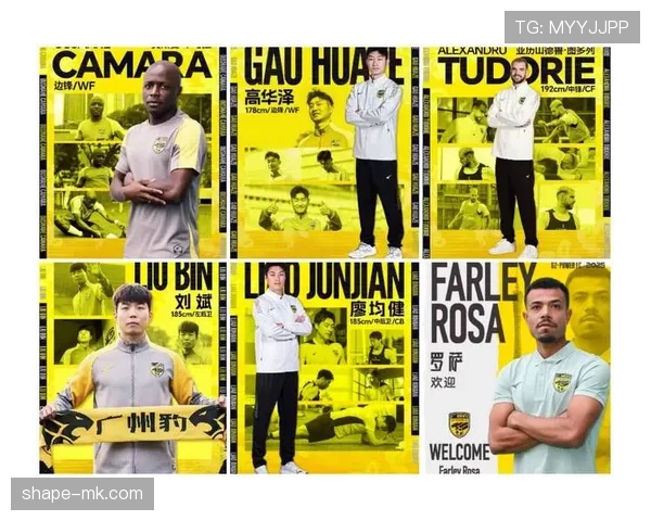 球队转会计划稳步推进，引援策略聚焦补强关键位置